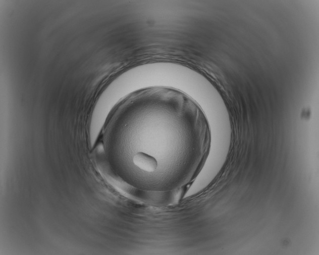 X0000090930423200708201833