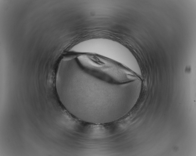 X0000090930424200708201832