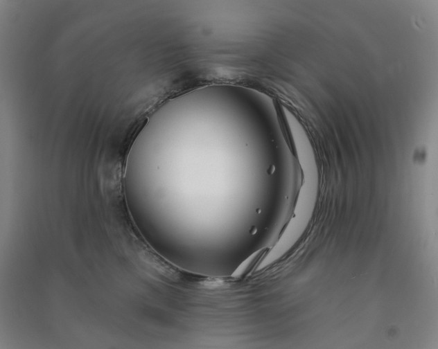 X0000090930425200708201832