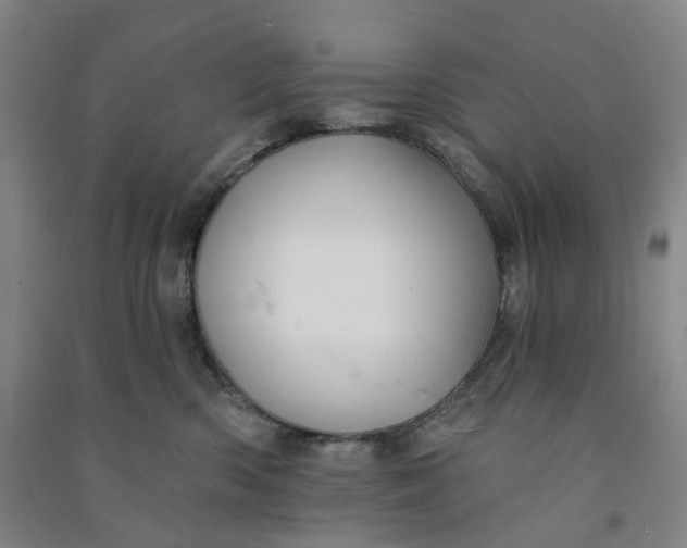 X0000090930426200708201832