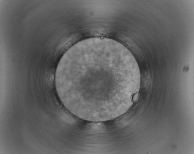 X0000090930427200708201832