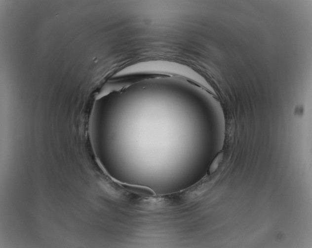 X0000090930428200708201832