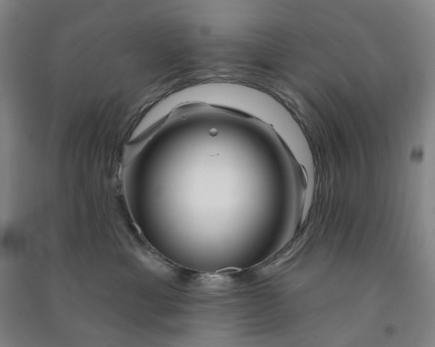 X0000090930429200708201832