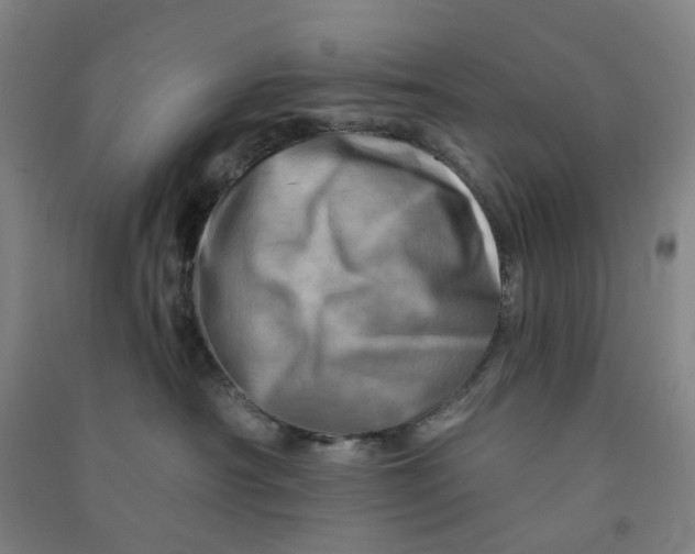 X0000090930430200708201832