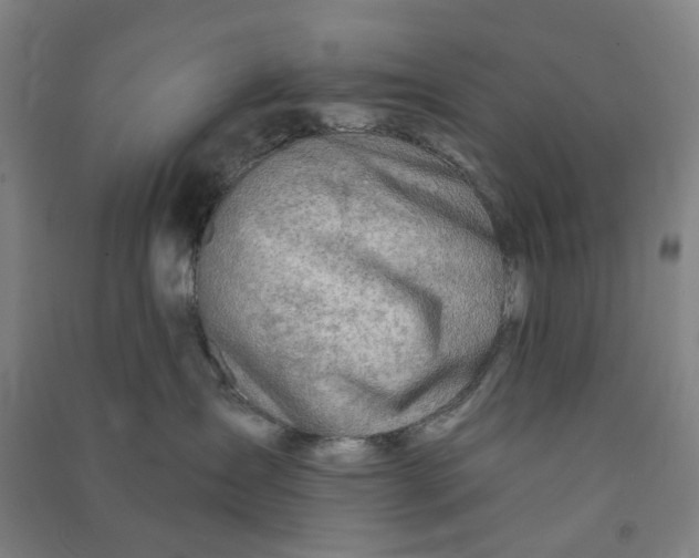 X0000090930431200708201832