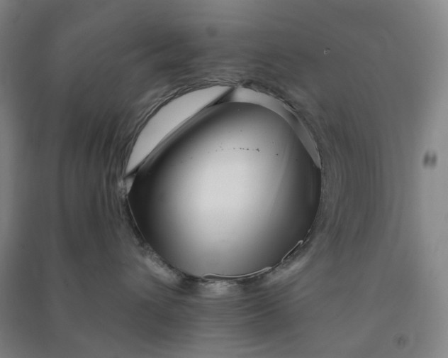 X0000090930432200708201832