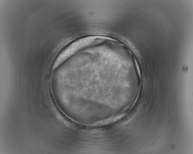 X0000090930433200708201832