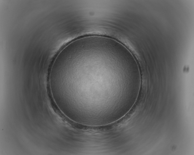 X0000090930434200708201832