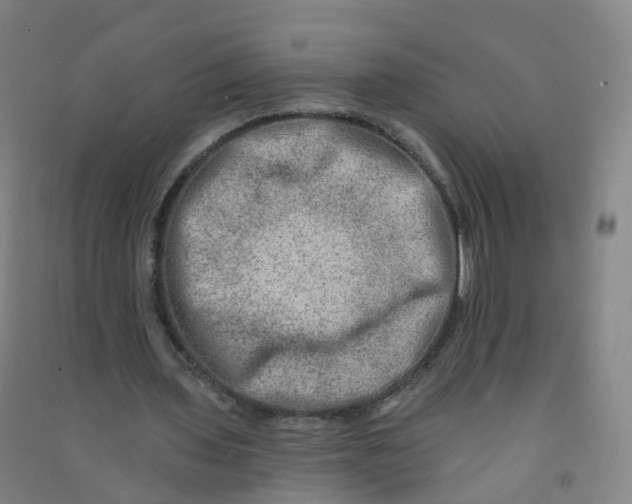 X0000090930435200708201832