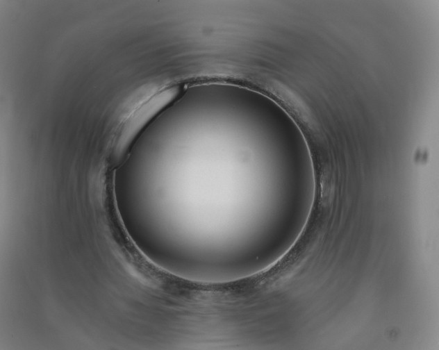 X0000090930436200708201832