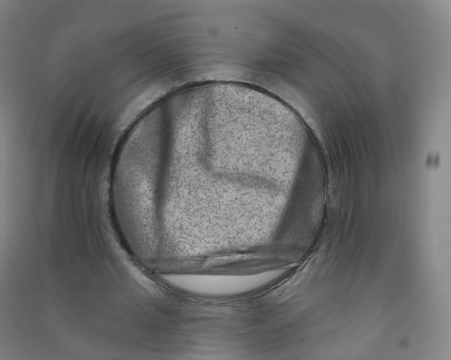 X0000090930437200708201832