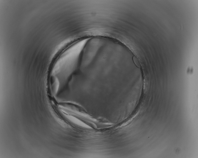 X0000090930438200708201832