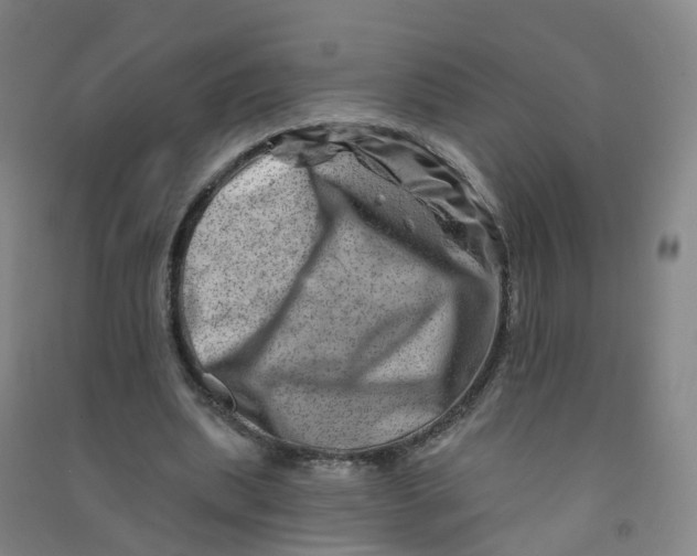 X0000090930439200708201832