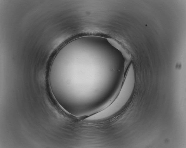 X0000090930440200708201832