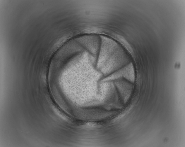 X0000090930441200708201832