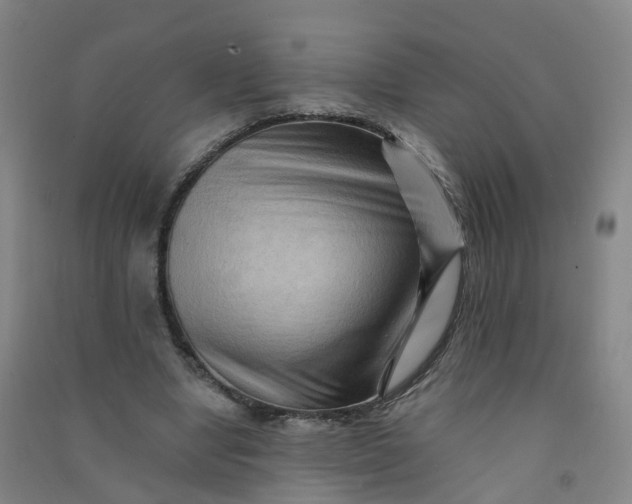 X0000090930442200708201832