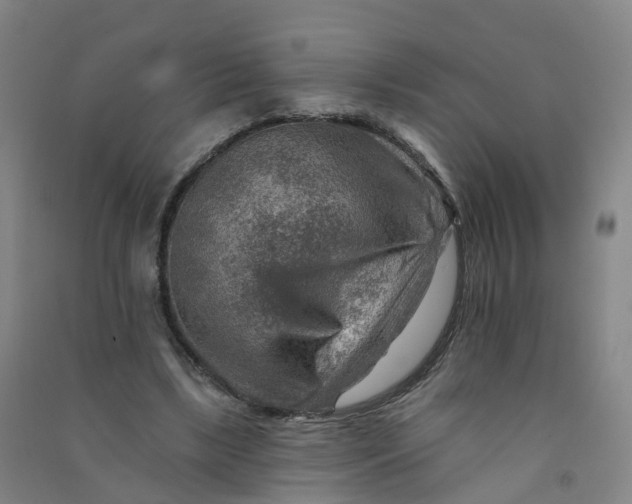 X0000090930443200708201832