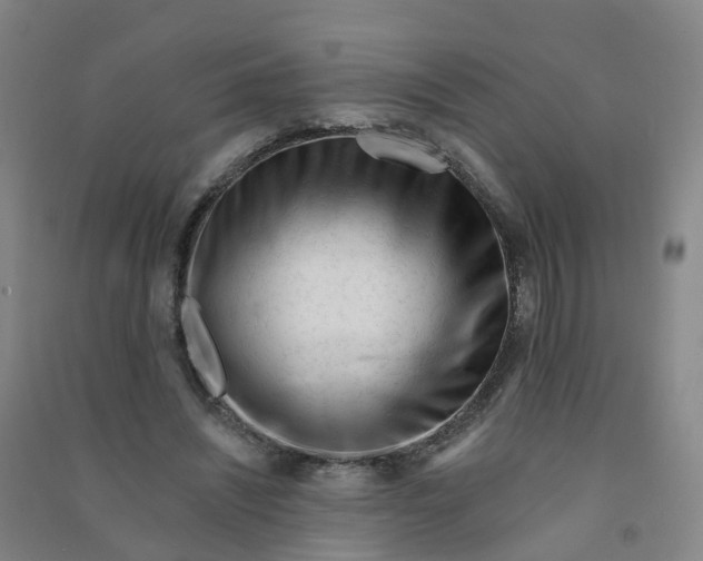 X0000090930444200708201832