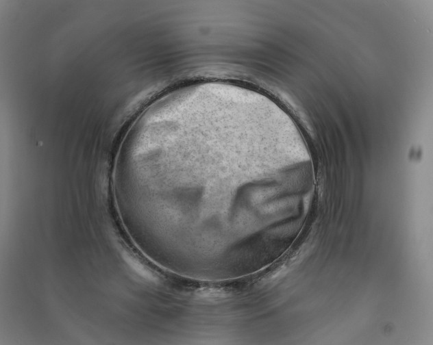 X0000090930445200708201832