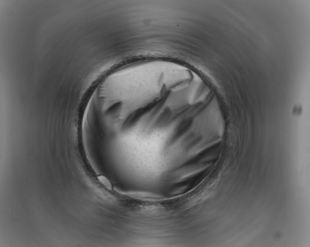 X0000090930446200708201832