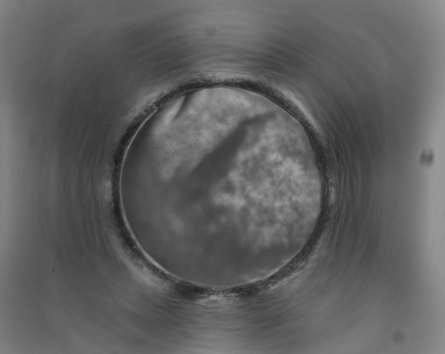 X0000090930447200708201832