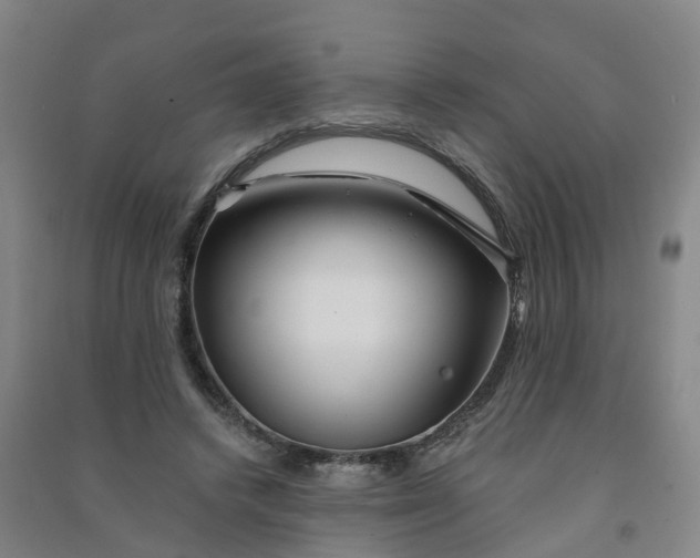 X0000090930448200708201832