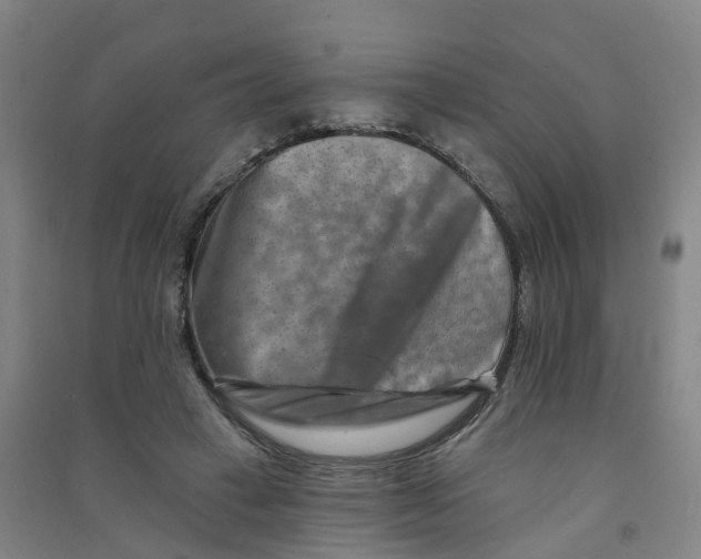 X0000090930449200708201832