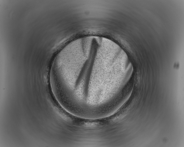 X0000090930450200708201832