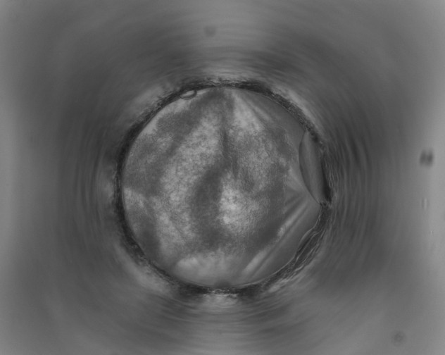 X0000090930451200708201832