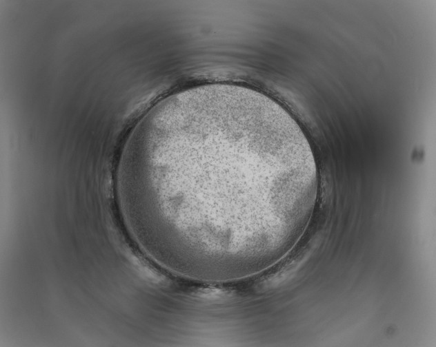 X0000090930453200708201832