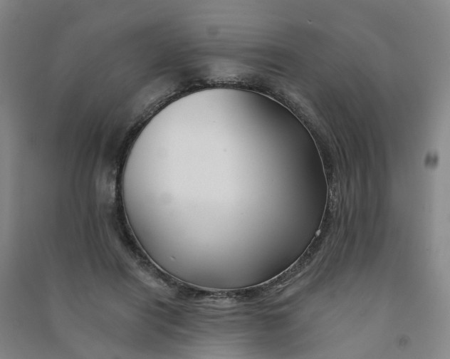 X0000090930454200708201832