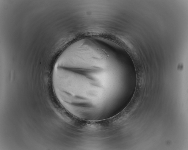 X0000090930455200708201832