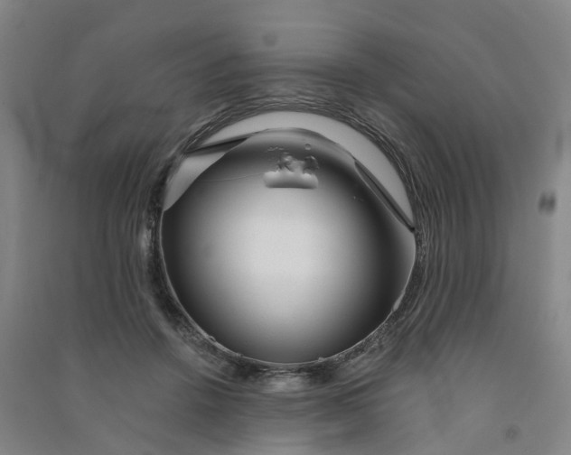 X0000090930456200708201832