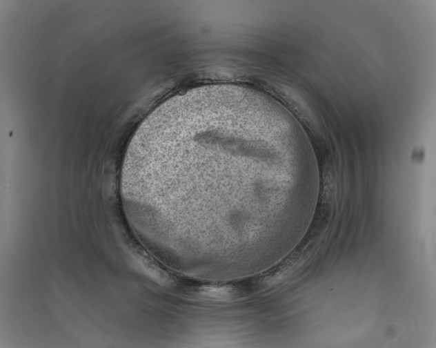 X0000090930457200708201832