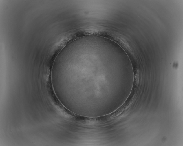 X0000090930458200708201832