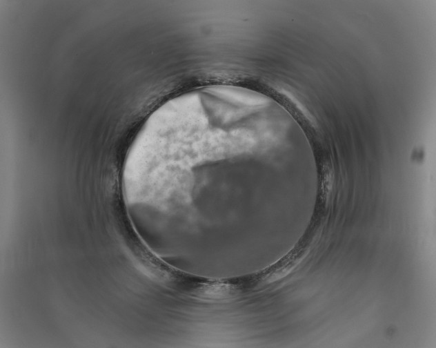 X0000090930459200708201832