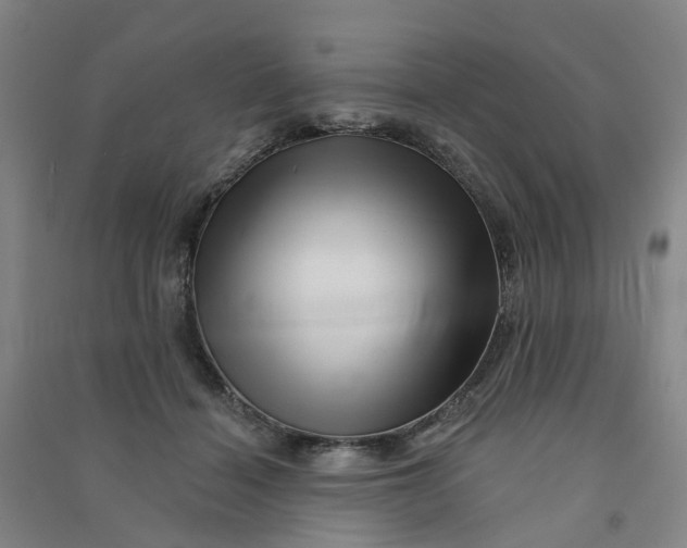 X0000090930460200708201832