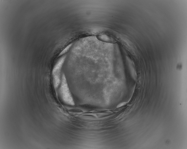 X0000090930461200708201832