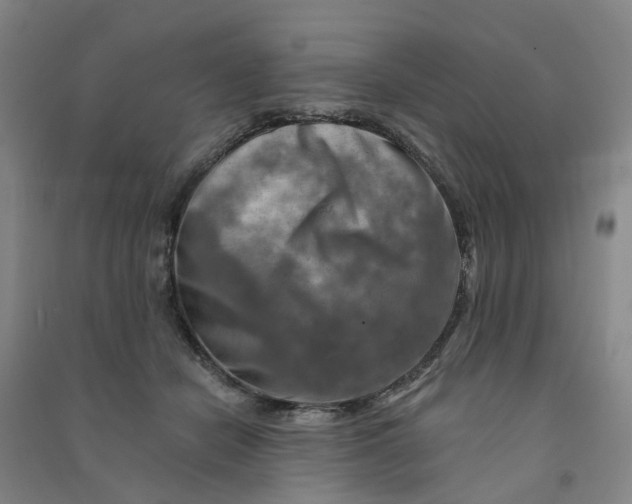 X0000090930462200708201832