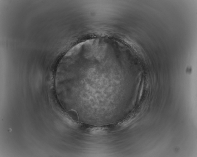 X0000090930465200708201832