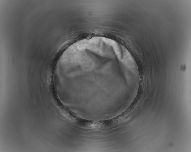 X0000090930466200708201832