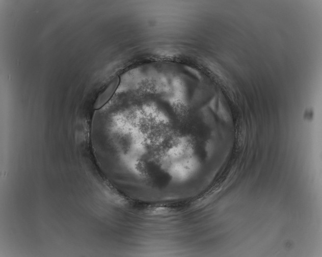 X0000090930467200708201832