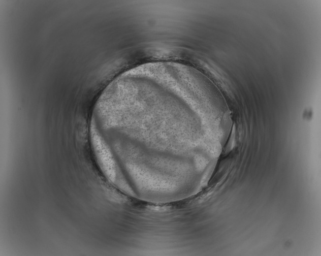 X0000090930469200708201832