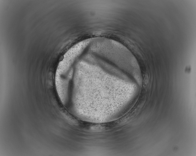 X0000090930470200708201832