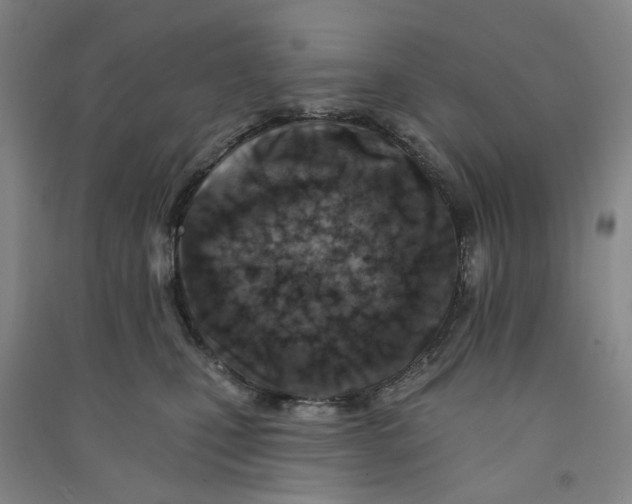 X0000090930471200708201832