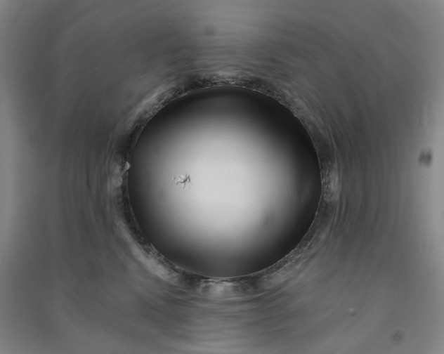 X0000090930472200708201832