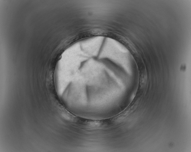 X0000090930473200708201832