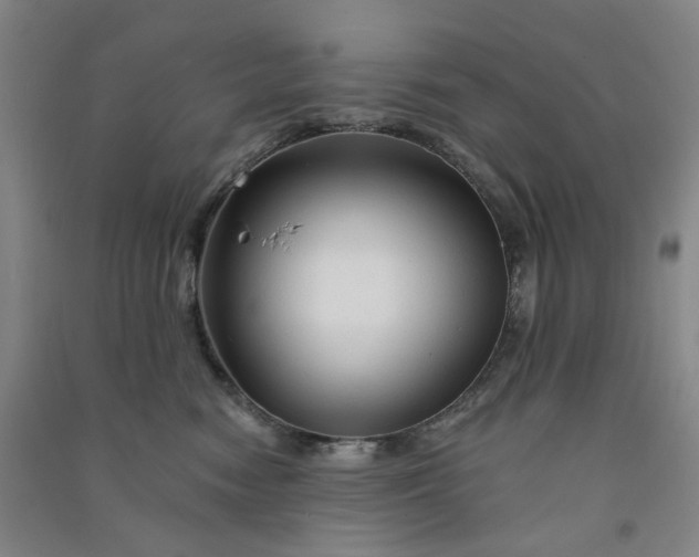 X0000090930474200708201832