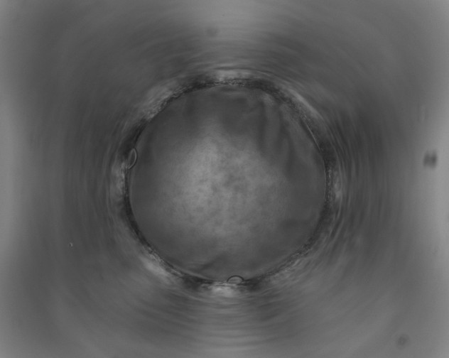 X0000090930475200708201832