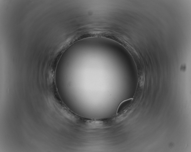 X0000090930476200708201832